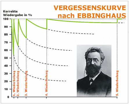 vergessenskurve phase-6