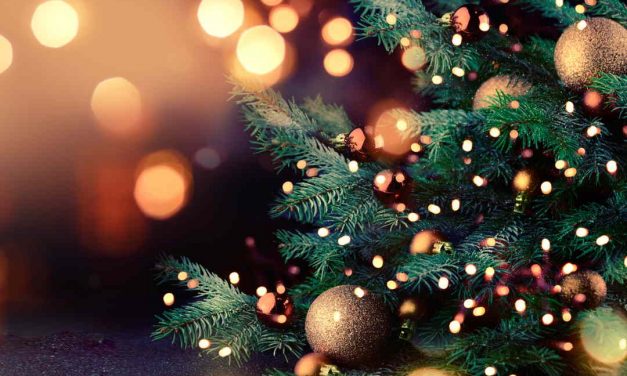 Weihnachtsbräuche – Andere Länder, andere Sitten