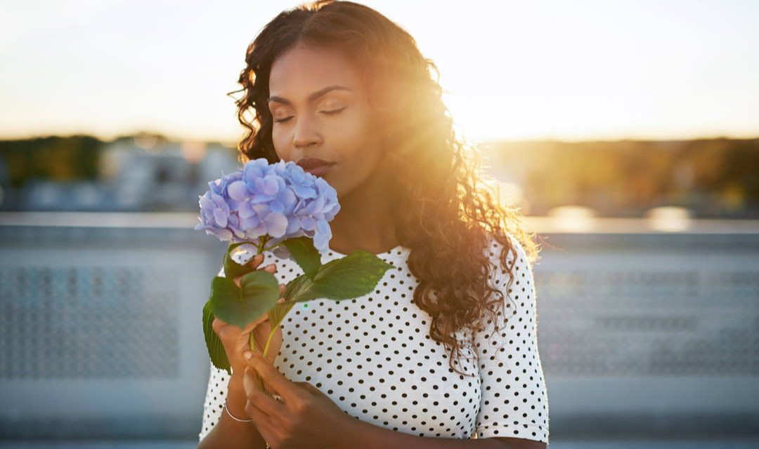 Das menschliche Geruchsvokabular