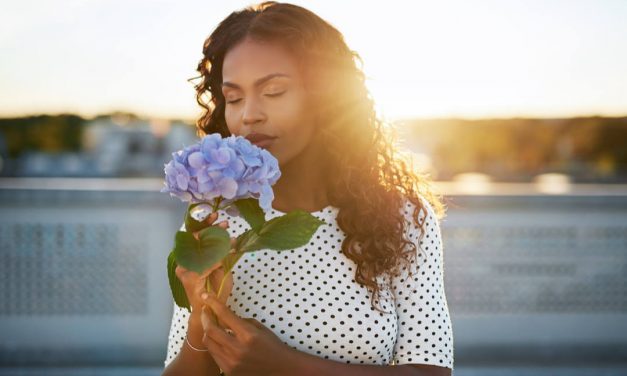 Das menschliche Geruchsvokabular