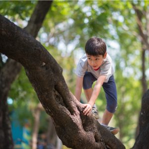 Junge klettert auf einen Baum