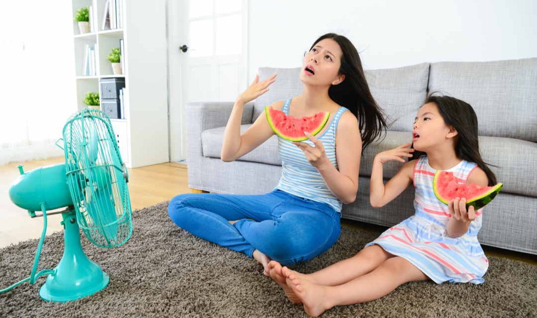 Die besten Tipps zum Abkühlen im Sahara-Sommer