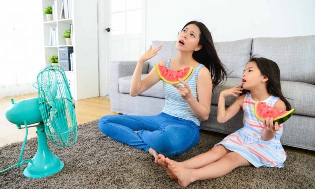 Die besten Tipps zum Abkühlen im Sahara-Sommer