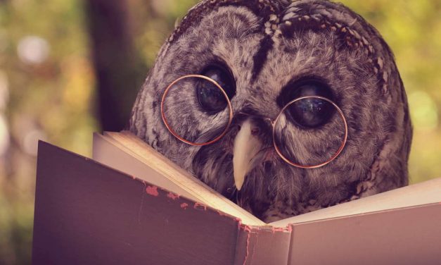 Sprichwörter über Tiere – Warum sagen wir eigentlich…?