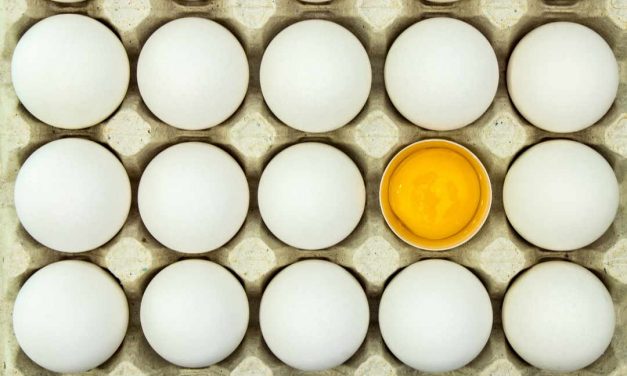 Sprichwörter über das Ei – Warum sagen wir eigentlich…?