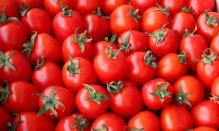 Sprichwörter über die Tomate – Warum sagen wir eigentlich…?