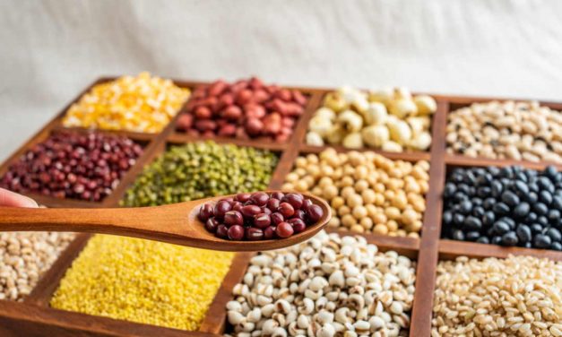 Sprichwörter über die Bohne – Warum sagen wir eigentlich…?