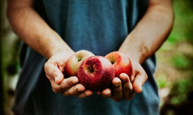 Sprichwörter über den Apfel – Warum sagen wir eigentlich…?