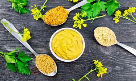 Sprichwörter über Senf – Warum sagen wir eigentlich…?