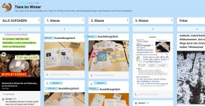 Padlet Tiere im Winter