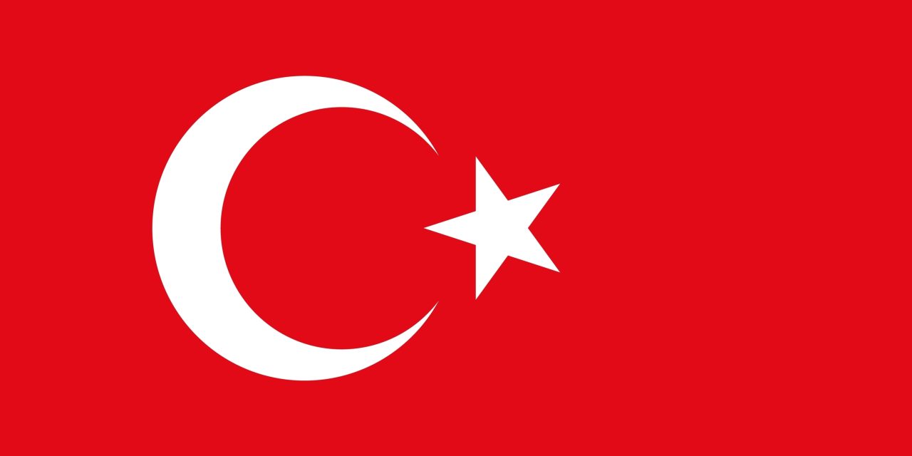 Grundwortschatz Türkisch: Über 450 Vokabeln