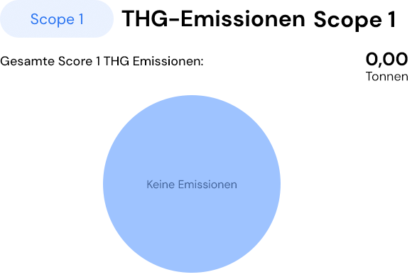 Scope 1