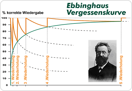 Vergessenskurve phase-6
